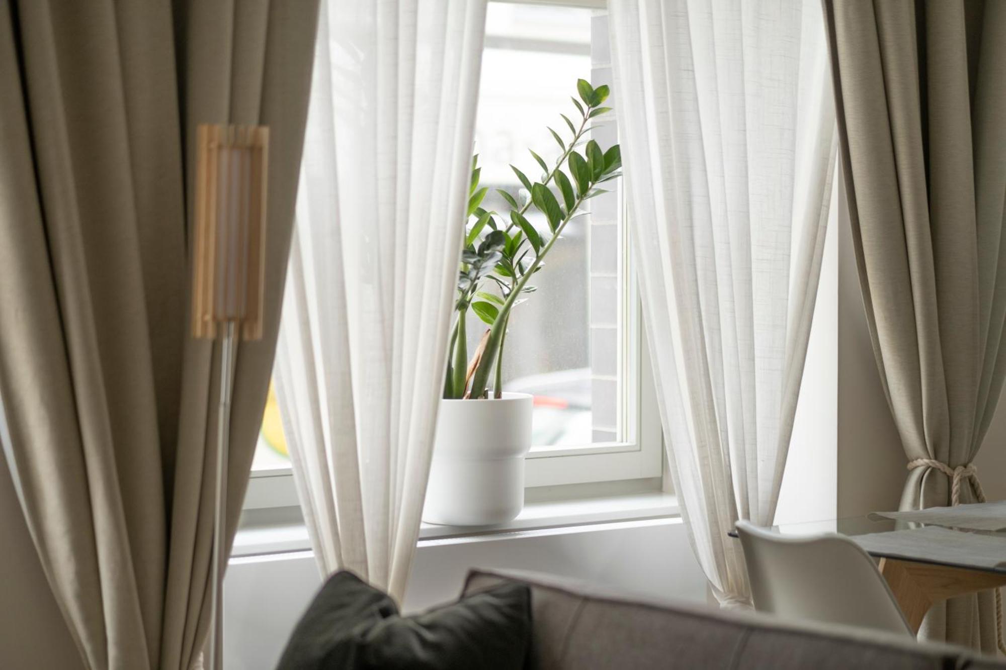 Apartments Zur Alten Konditorei 什未林 客房 照片