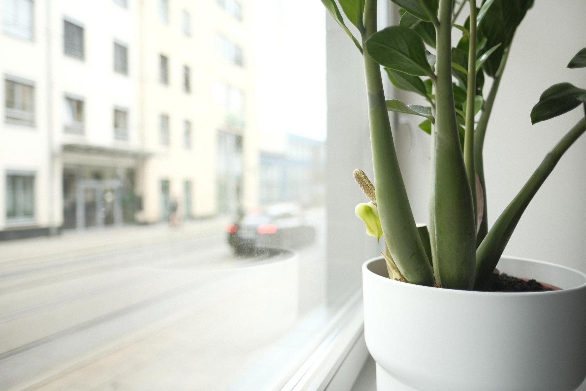 Apartments Zur Alten Konditorei 什未林 客房 照片